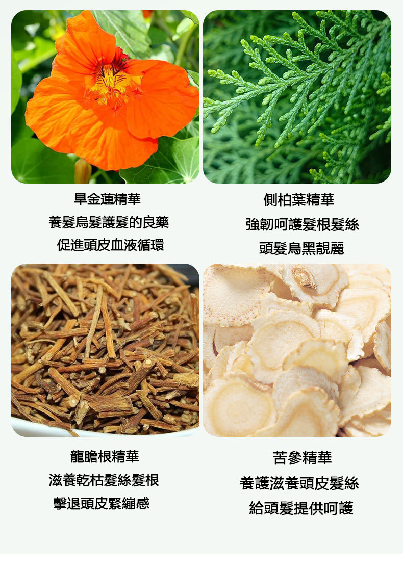 8 淺姿蘭QianZiLan植物護理泡泡染